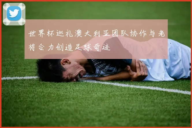 世界杯巡礼澳大利亚团队协作与老将合力创造足球奇迹